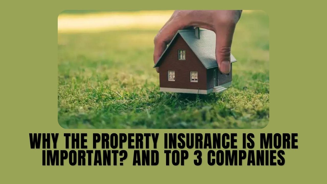 Why the property insurance is more important? And top 3 companies